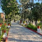 Panteones y floristas de Tequisquiapan se preparan para recibir a familias por el Día de Muertos