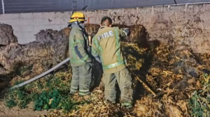 dos-integrantes-de-bomberos-voluntarios-tequisquiapan-con-manguera-durante-labores-de-enfriamiento-en-el-incendio-de-pacas-en-un