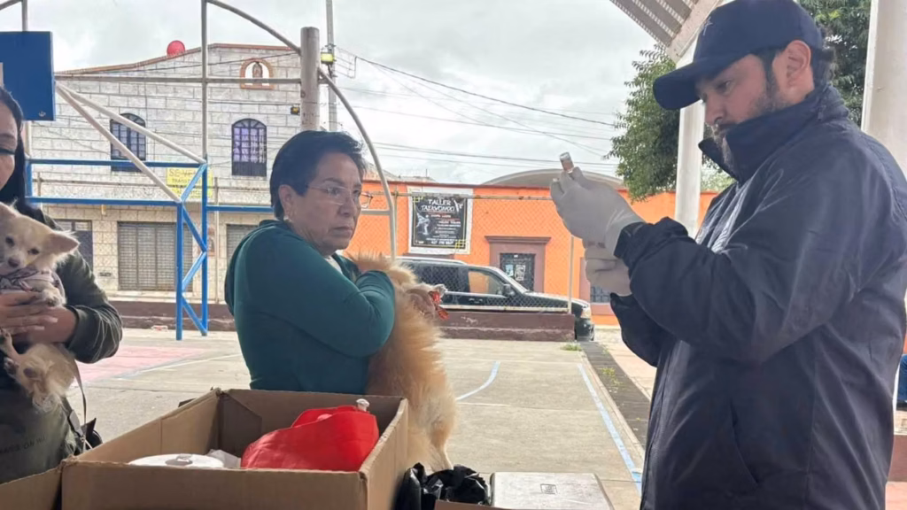 un-aplicador-con-guantes-prepara-la-vacuna-antirrabica-mientras-una-vecina-sostiene-a-su-perro-durante-la-jornada-en-san-pedro-a